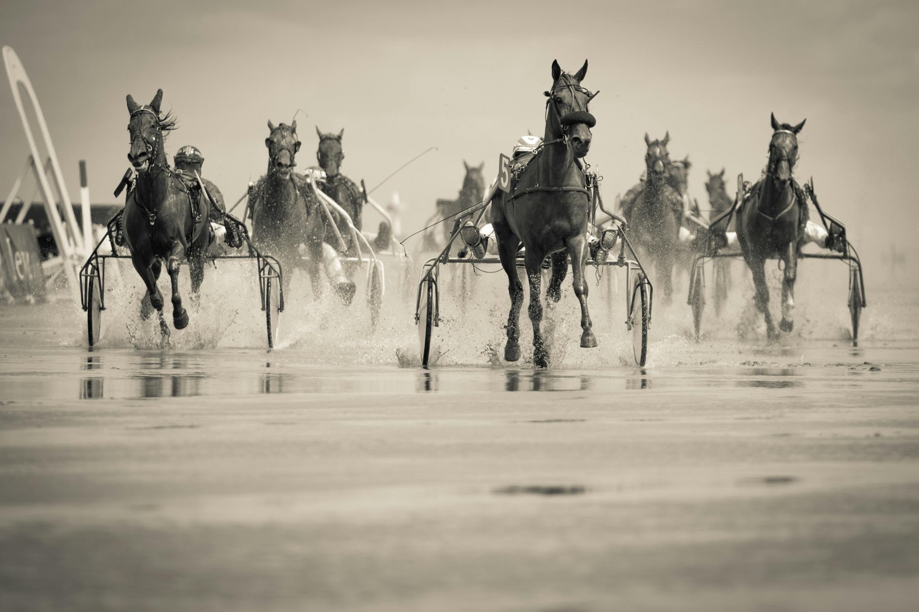 grayscale photo of group of horse with carriage running on body of water