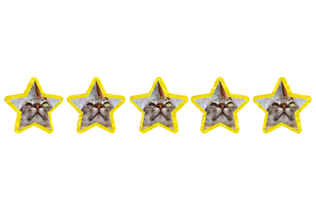 Değerlendirme görseli