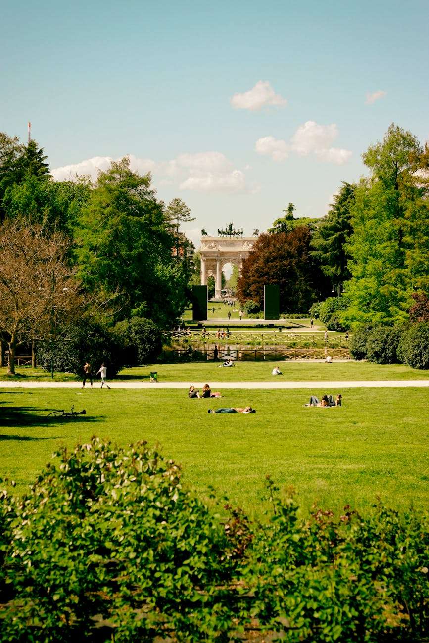 people are sitting on the grass in a park